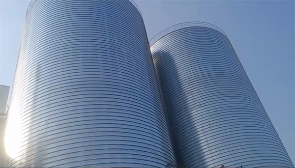 麻阳2座混凝土高架卷板仓